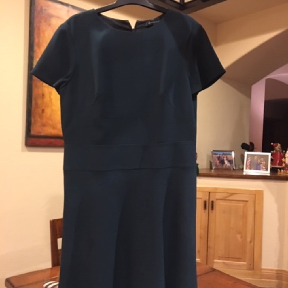 Brooks brothers women’s dress
